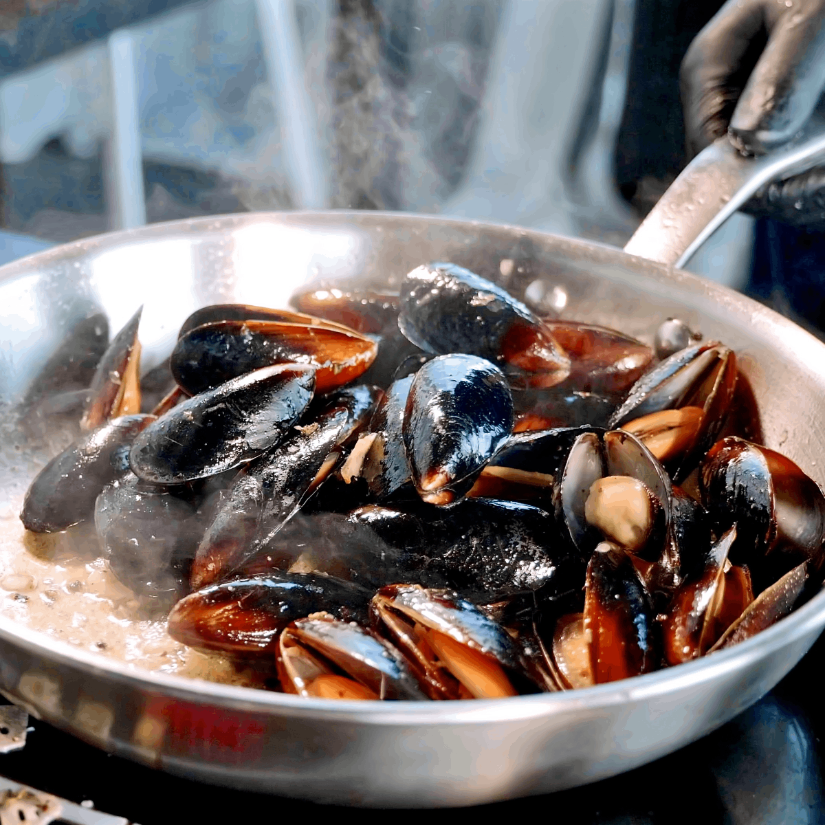 Steaming Mussels