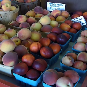 Fresh Jersey Peaches