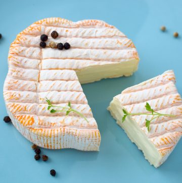 Moldy Brie Cheese