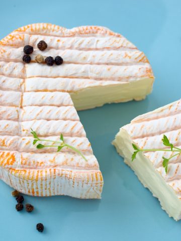 Moldy Brie Cheese