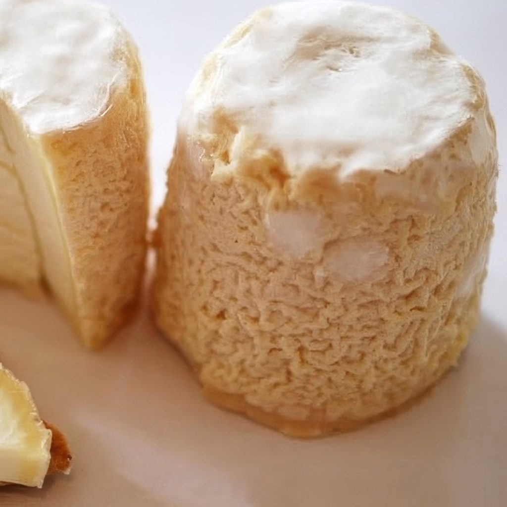 Chabichou du Poitou Cheese