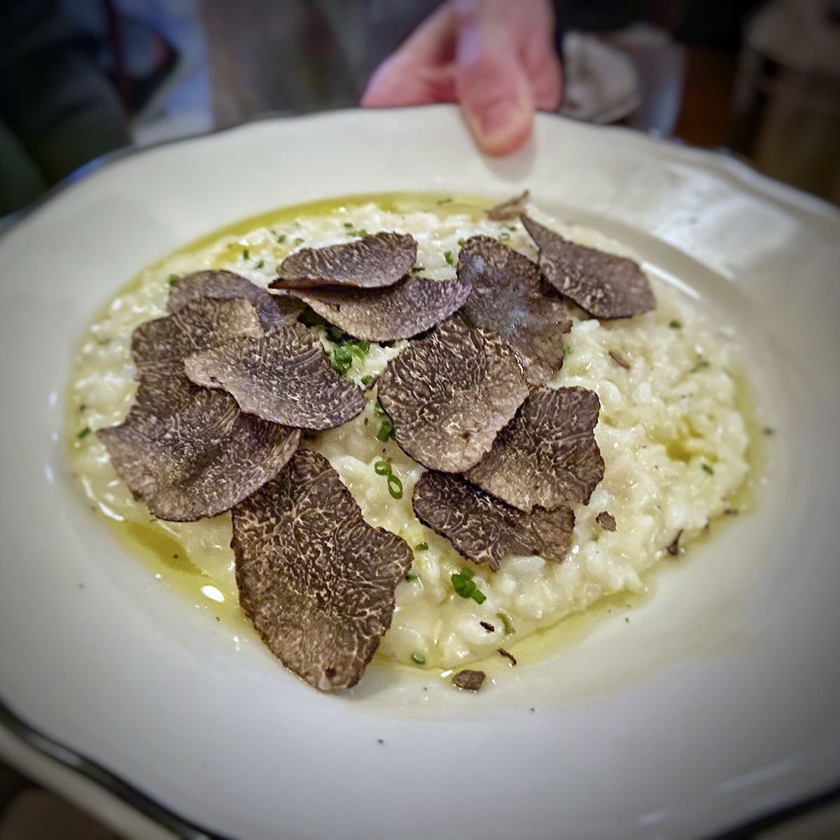 Black Truffle Risotto