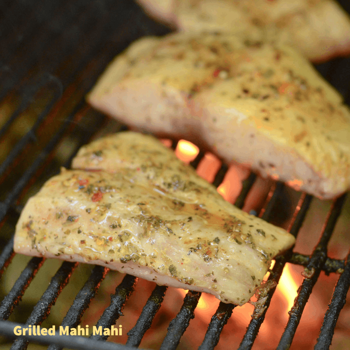 Grilled Mahi Mahi