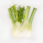 All About Fennel