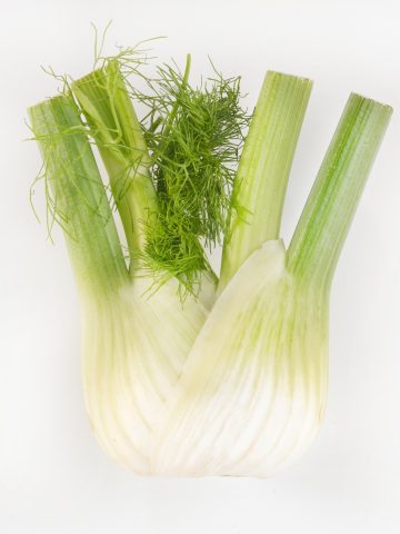 All About Fennel