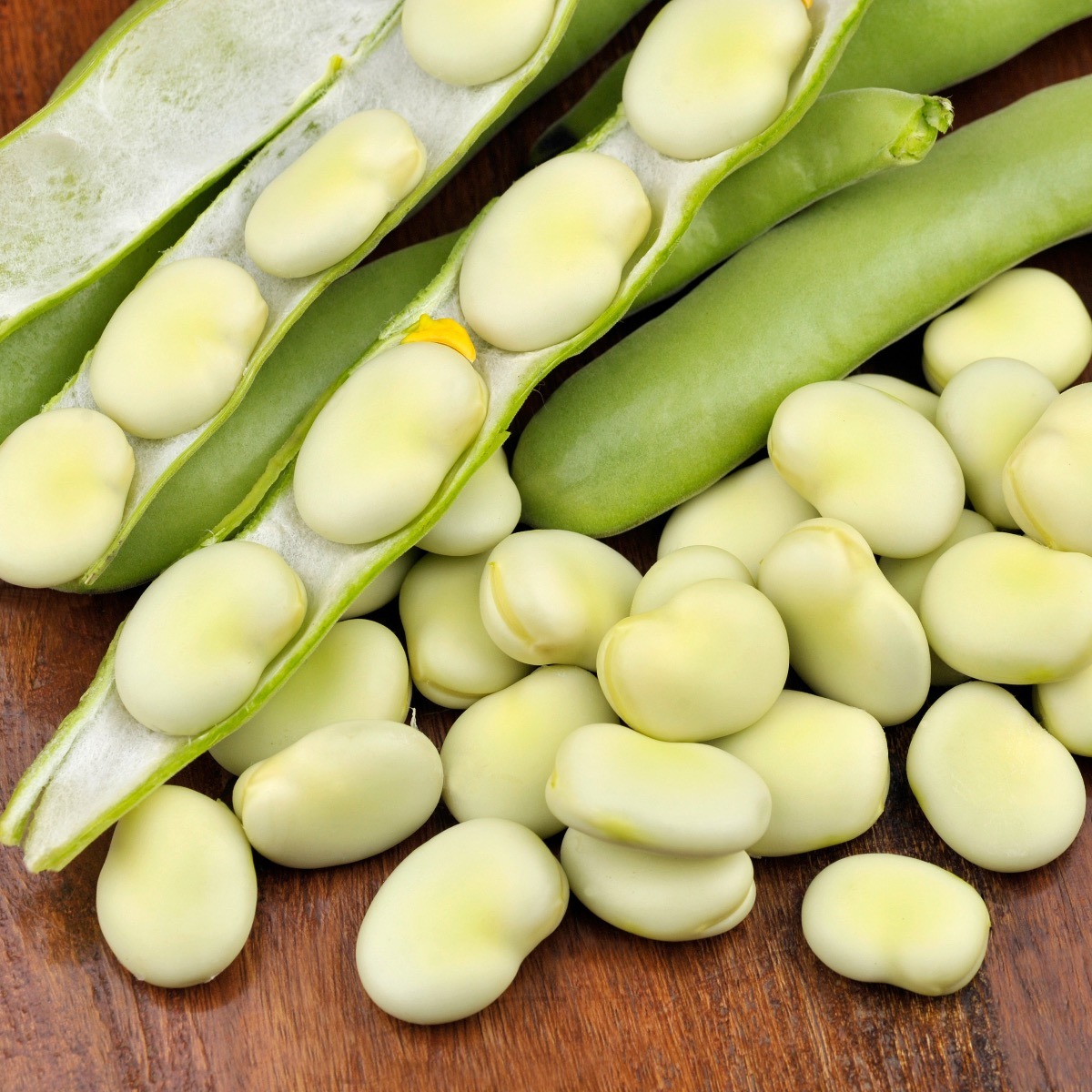 Broad Beans or Fava Beans