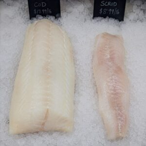 Comparison between cod and scrod