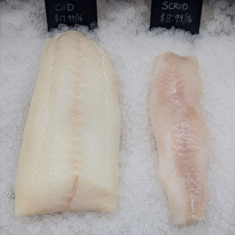 Comparison between cod and scrod