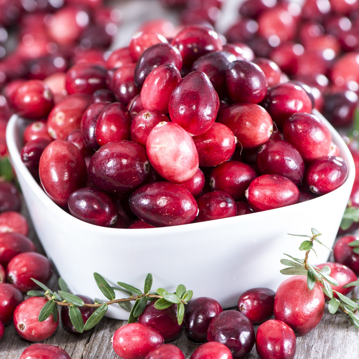 Thanksgiving Cranberries