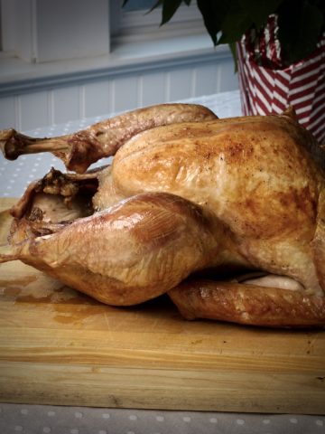 Thanksgiving Turkey Tips and Techniques