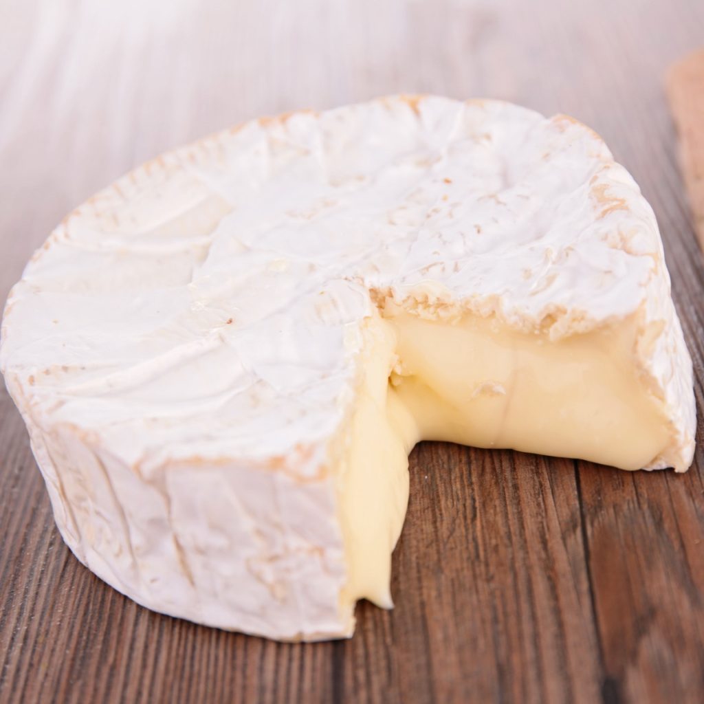 Moldy Brie Cheese