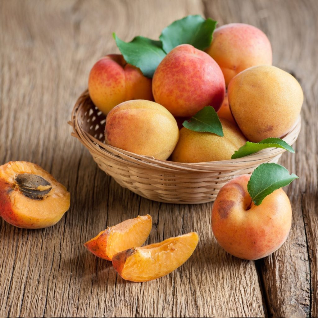 All About Apricots