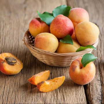 All About Apricots