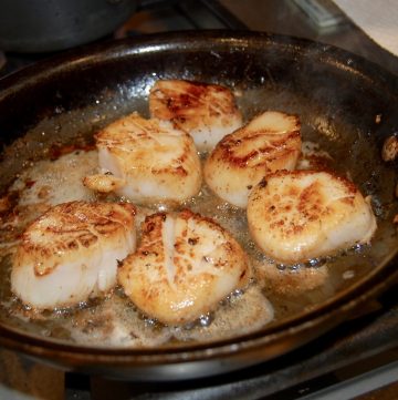 Scallop Recipes