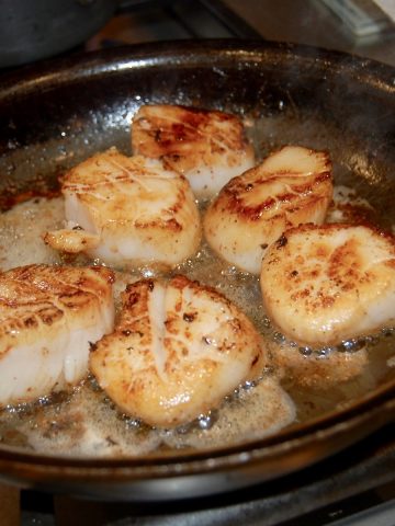 Scallop Recipes