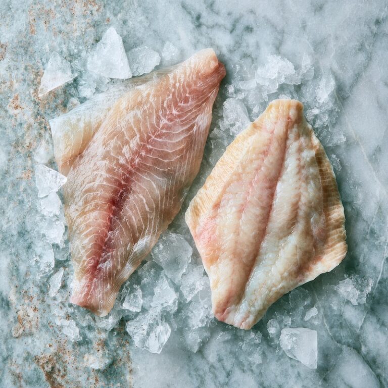 Two raw flatfish fillets side by side on ice, one slightly more translucent and firm-looking (fluke), one paler and more delicate (flounder)