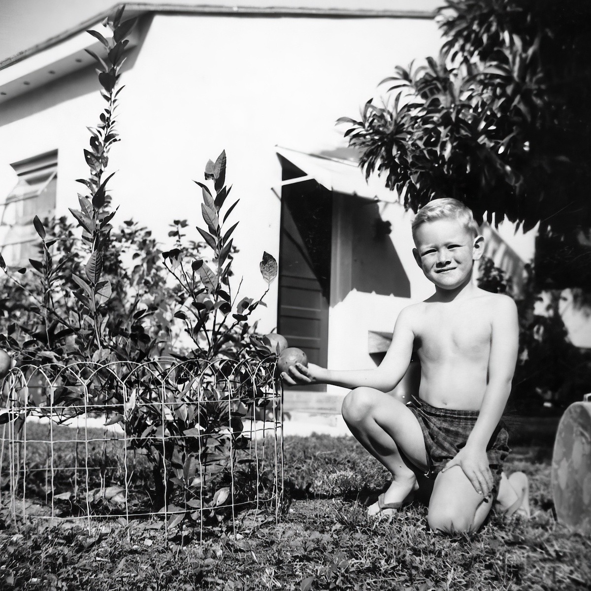 Me checking out Grandpa's very young orange tree