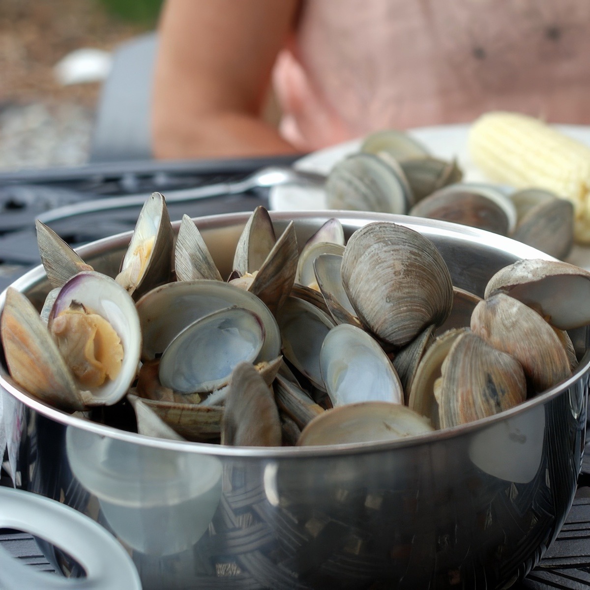 Steamed Clams Jersey Style