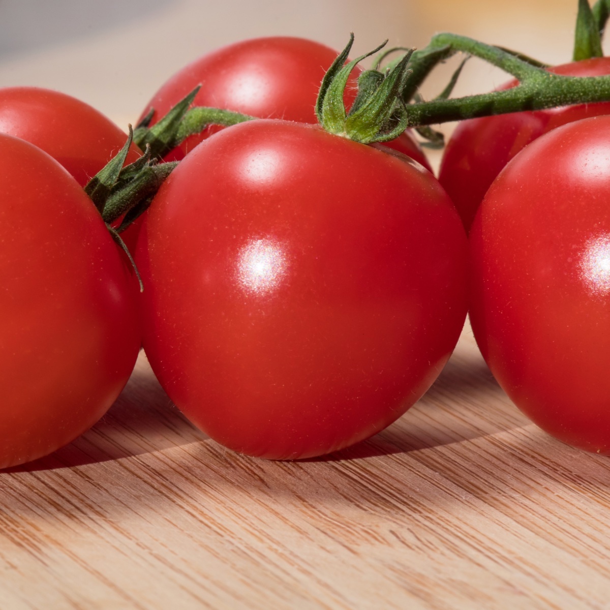 Tomato Delight Recipe