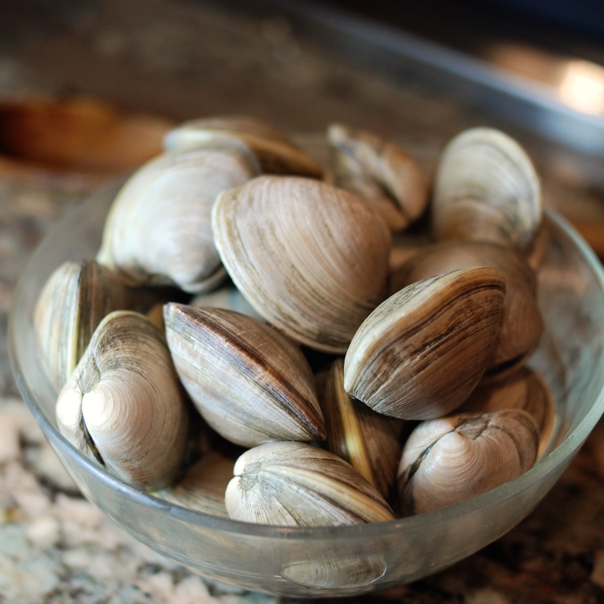 All About Clams