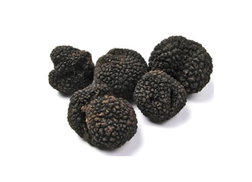 Black Truffles