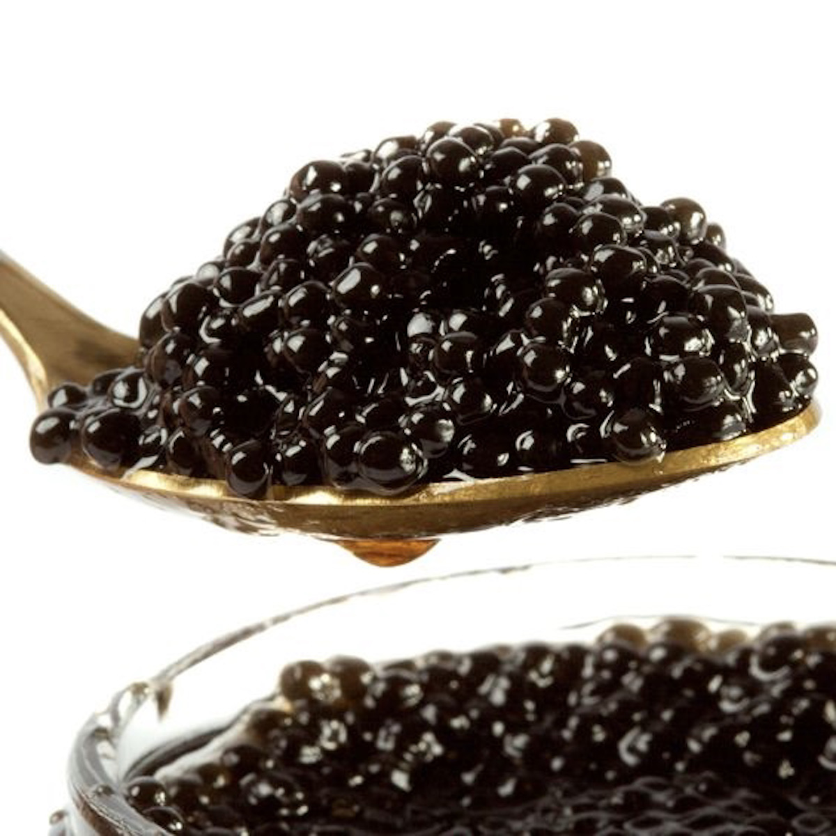 All About Caviar