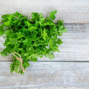 A bunch of cilantro