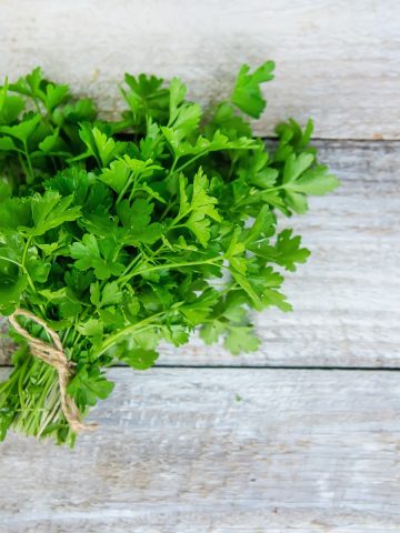 A bunch of cilantro