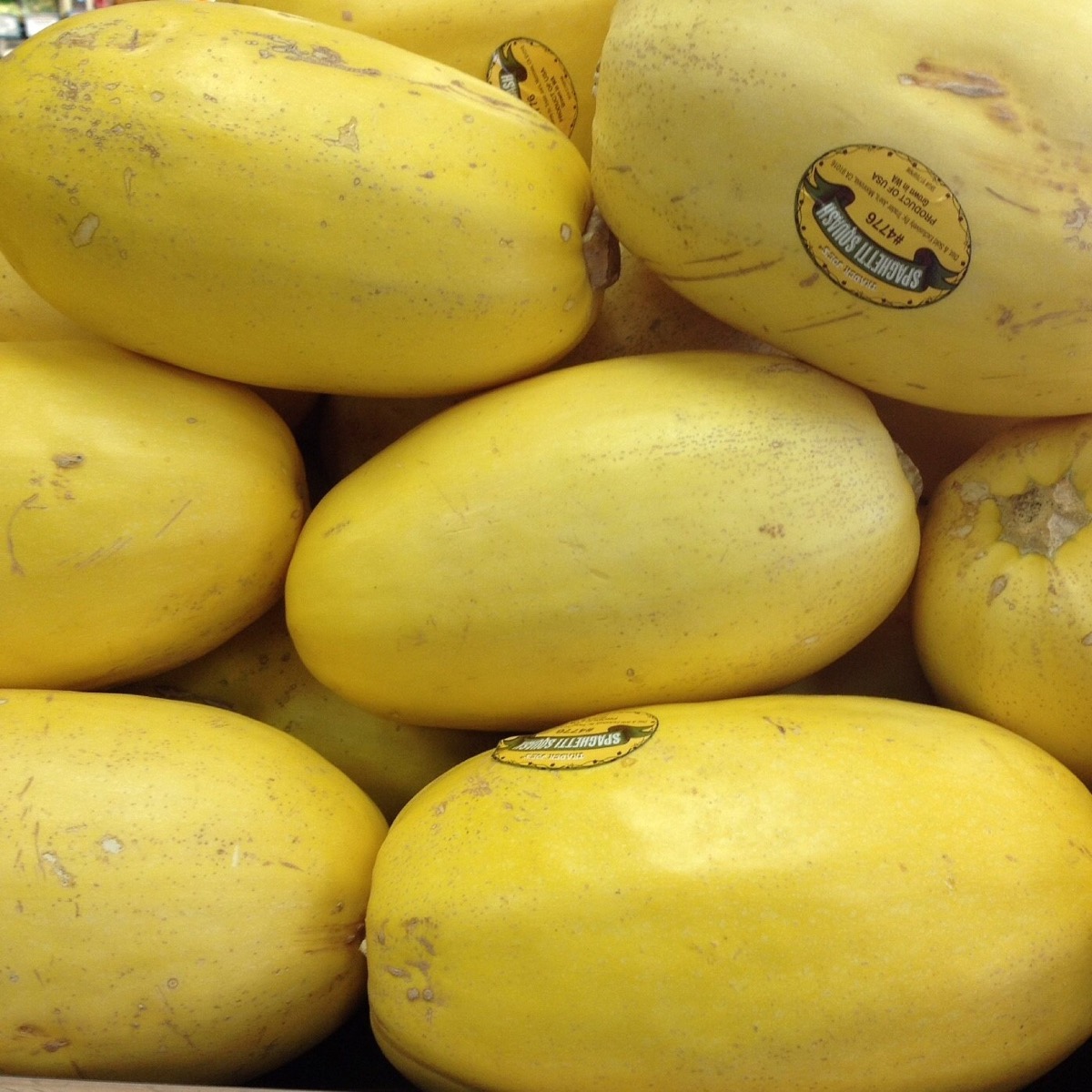 Spaghetti Squash