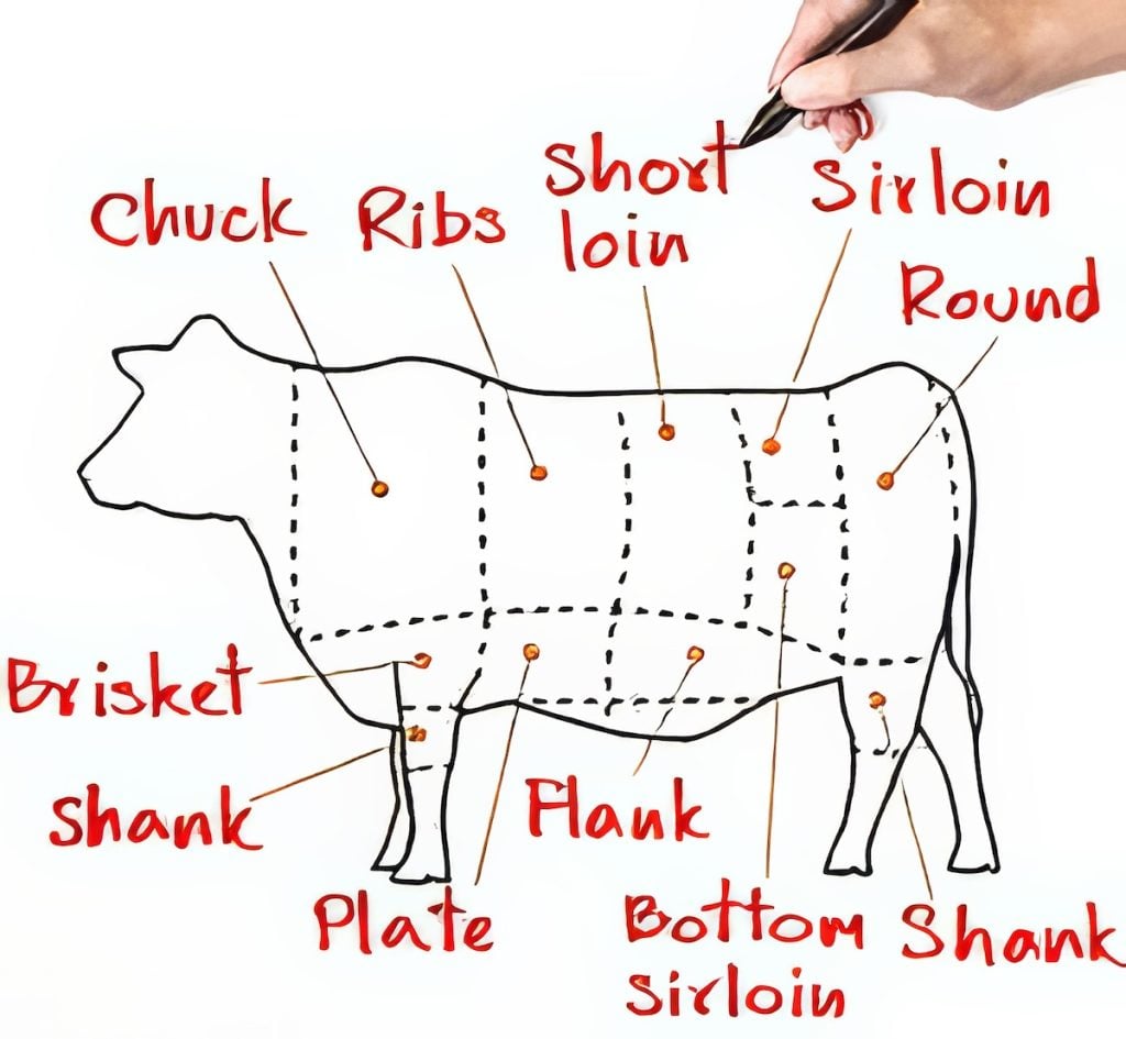 Beef Cuts Chart