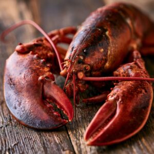 A single live American lobster on a worn wooden fish market surface