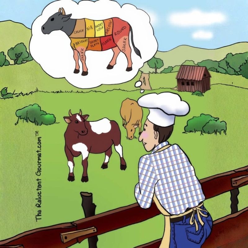 Cooking Cartoon about Gazing at Cows on the Farm