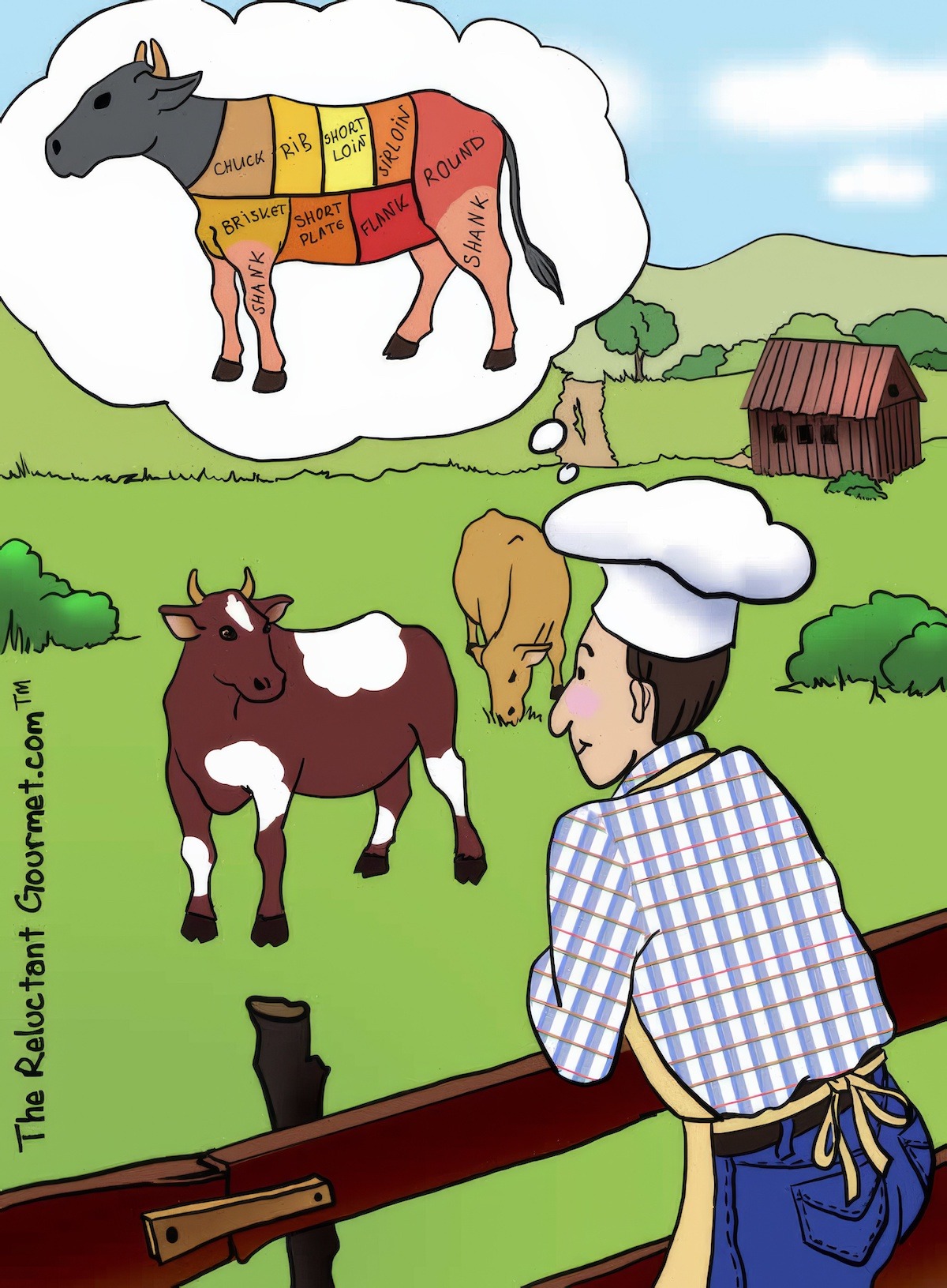 Cooking Cartoon about Gazing at Cows on the Farm