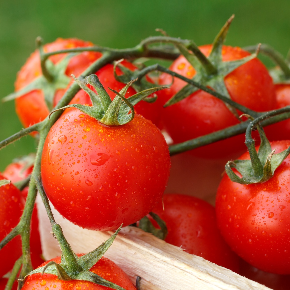 Tomato Conversions