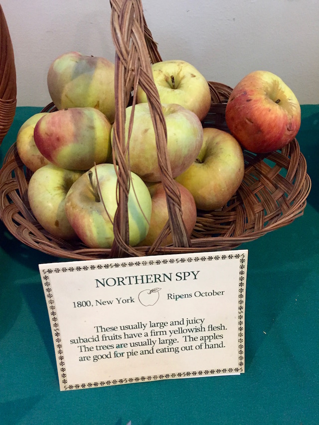 Northern Spy Apple