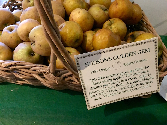 Hudson's Golden Gem