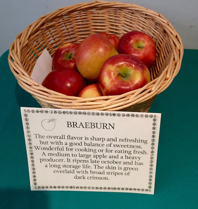 Braeburn Apples