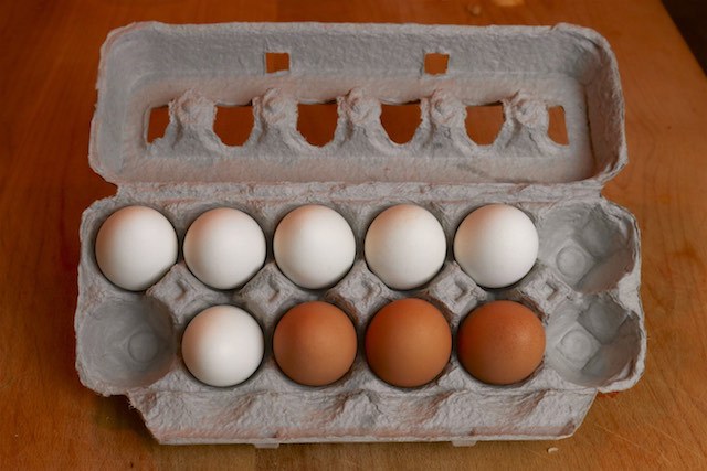 Eggs in Egg Carton