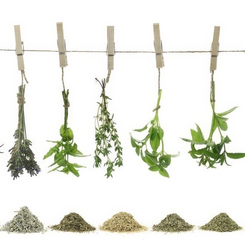 Fresh Herbs Hanging Above Dried Herbs Illustrating Conversion Ratios