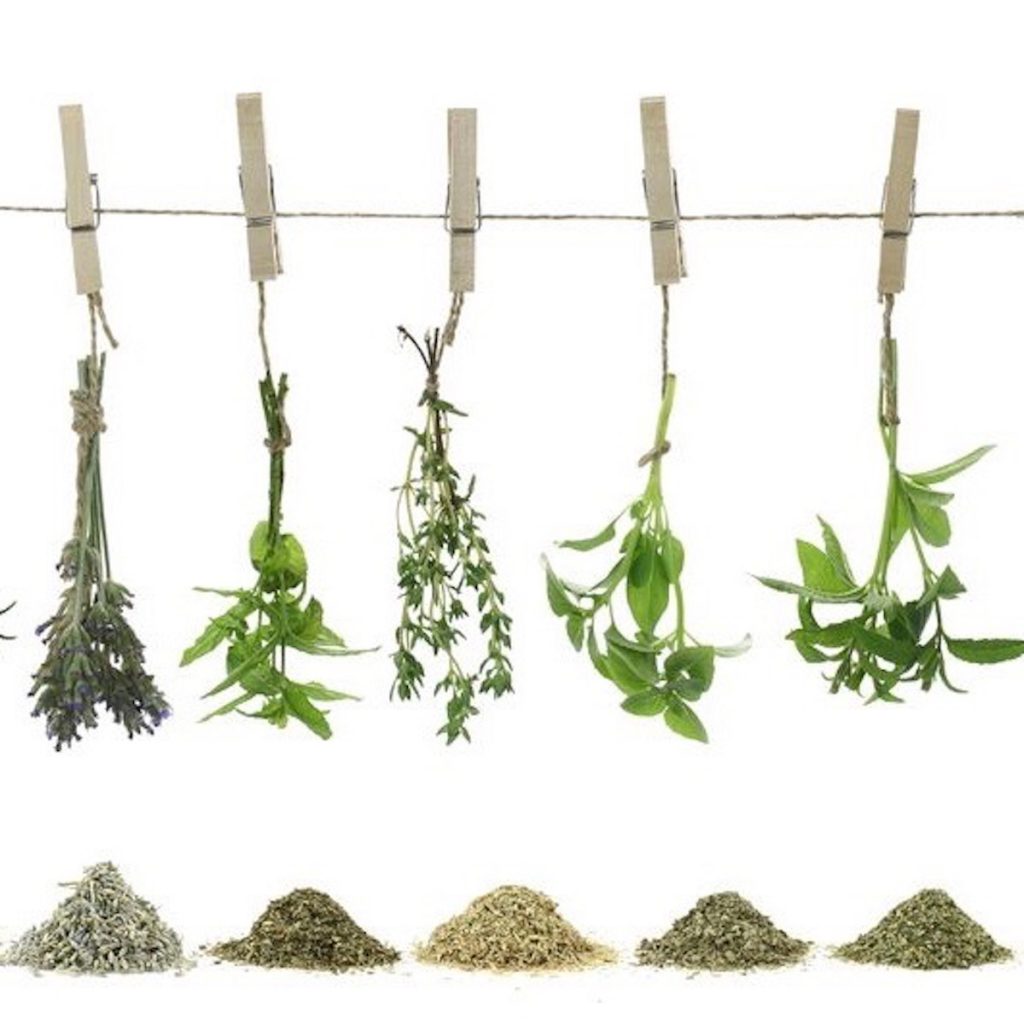 Fresh Herbs Dry Herbs Convertions