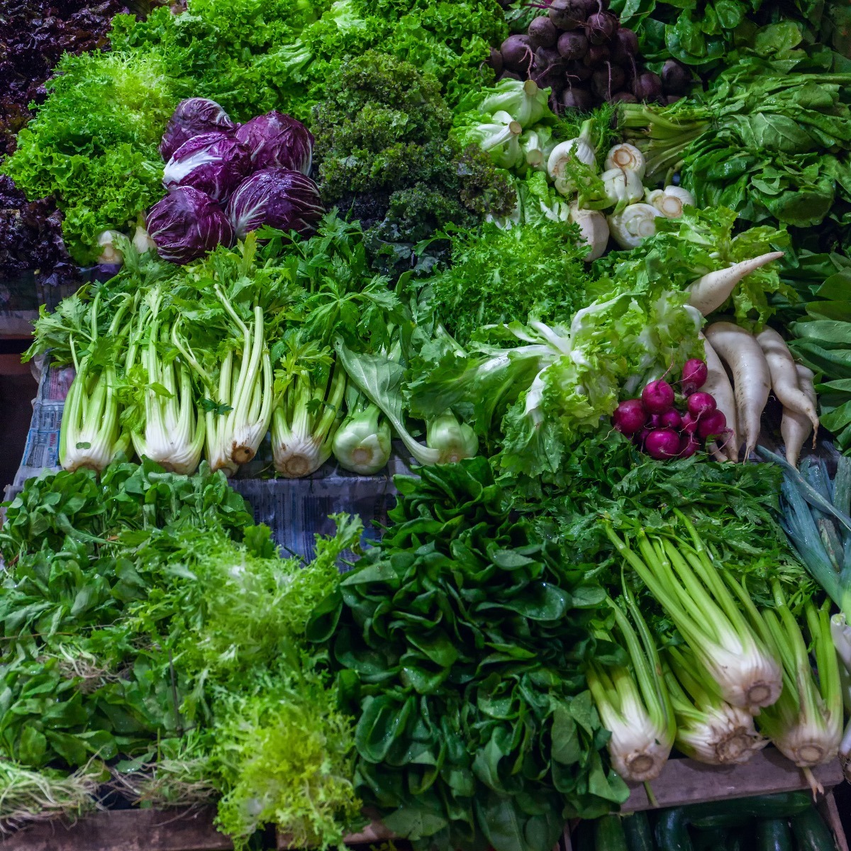 Supermarket Lettuces