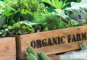 How Important Is Organic Food