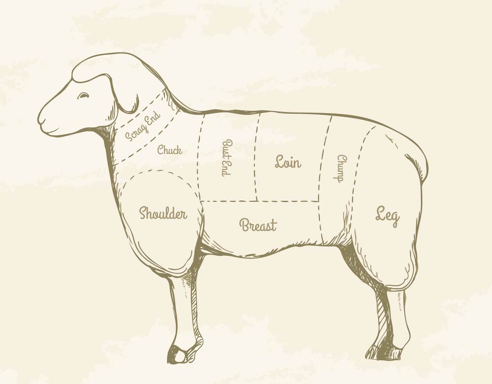 English Lamb Cuts Chart