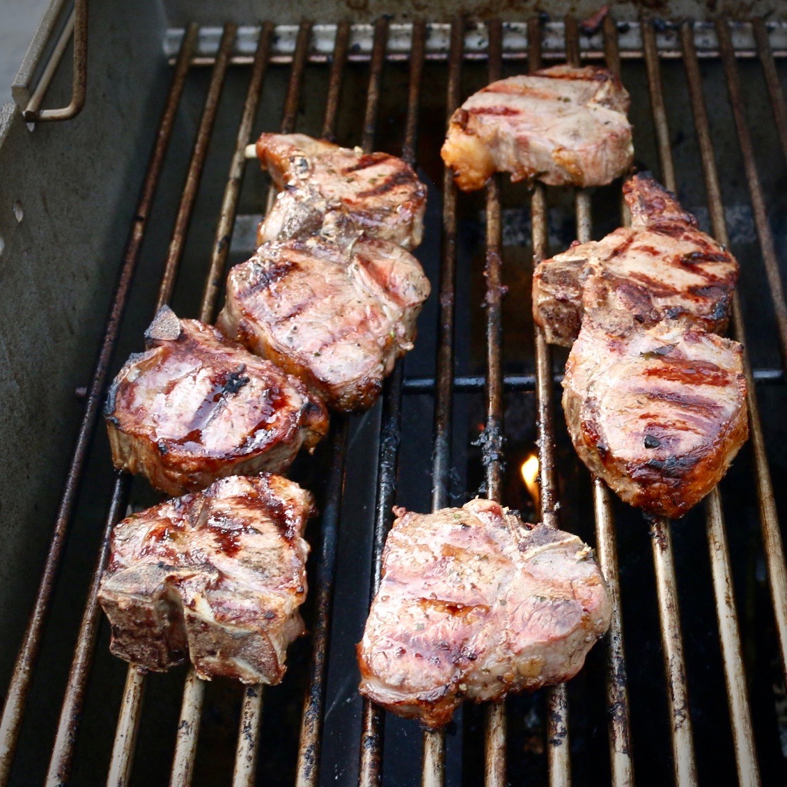 Lamb Loin Chops