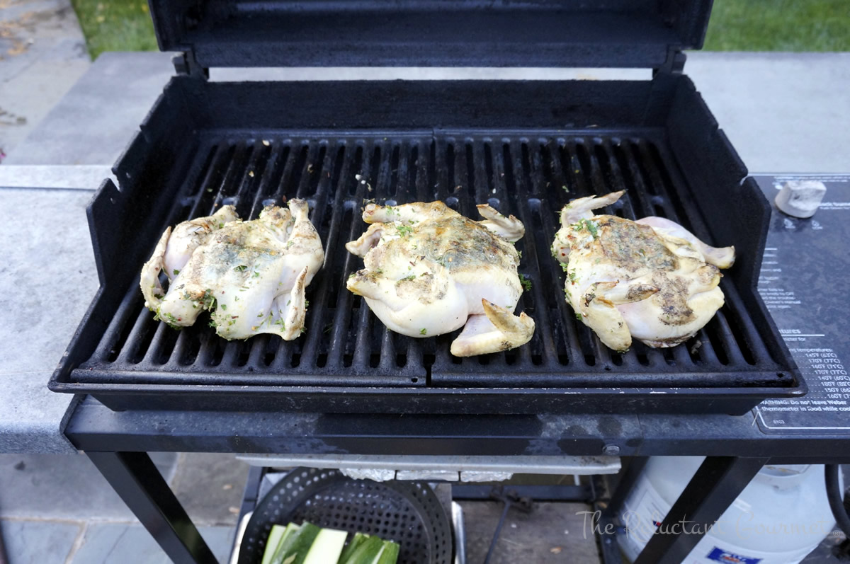 Game Hens on the Grill