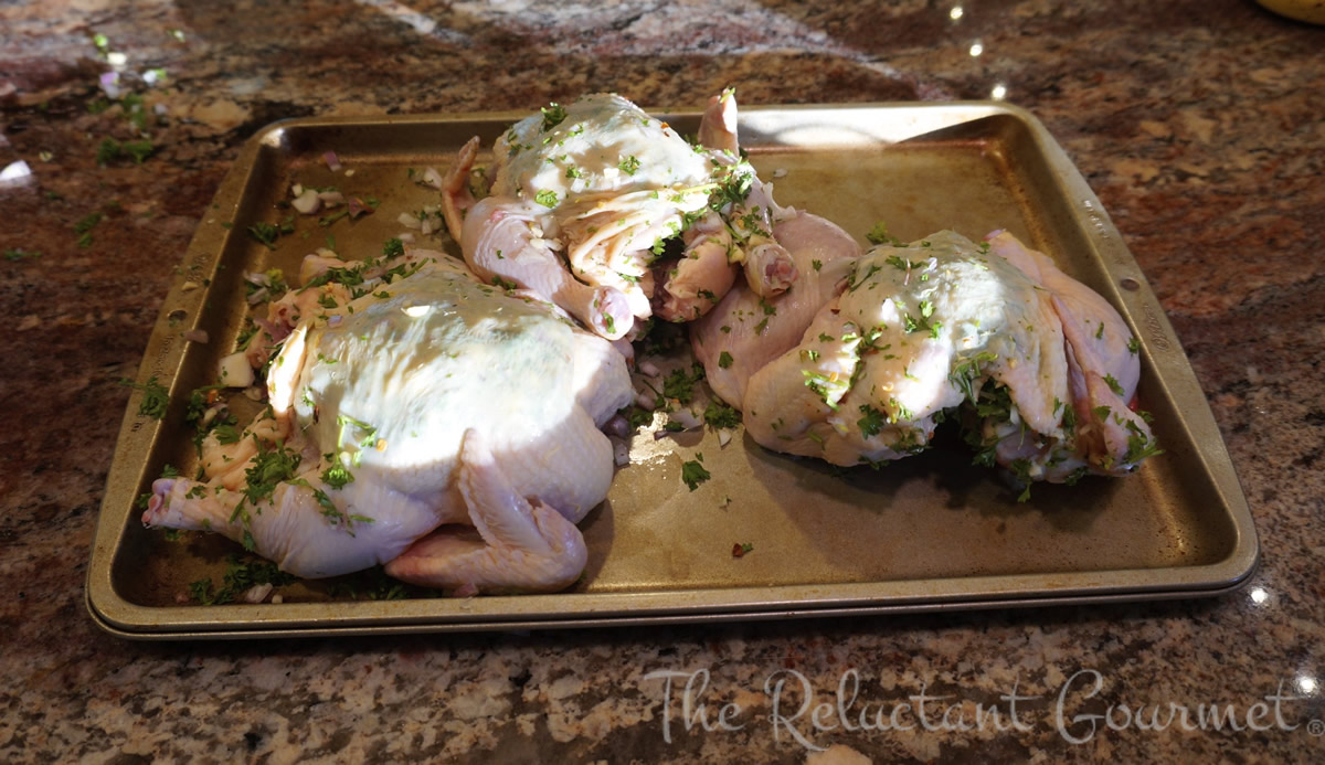 Prepping Cornish Game Hens for the Grill