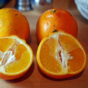 HoneyBell Oranges