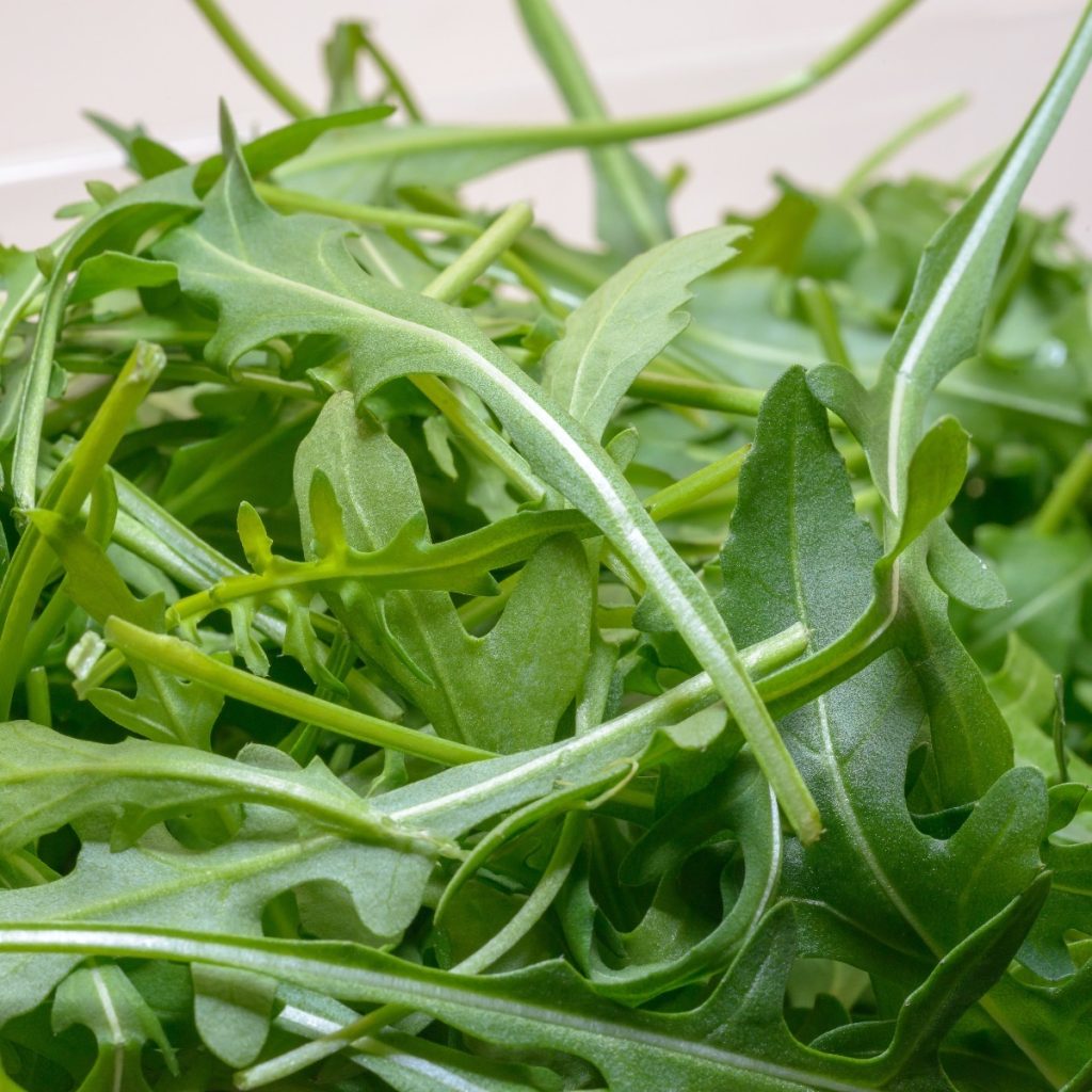 Arugula