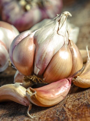 All About Garlic