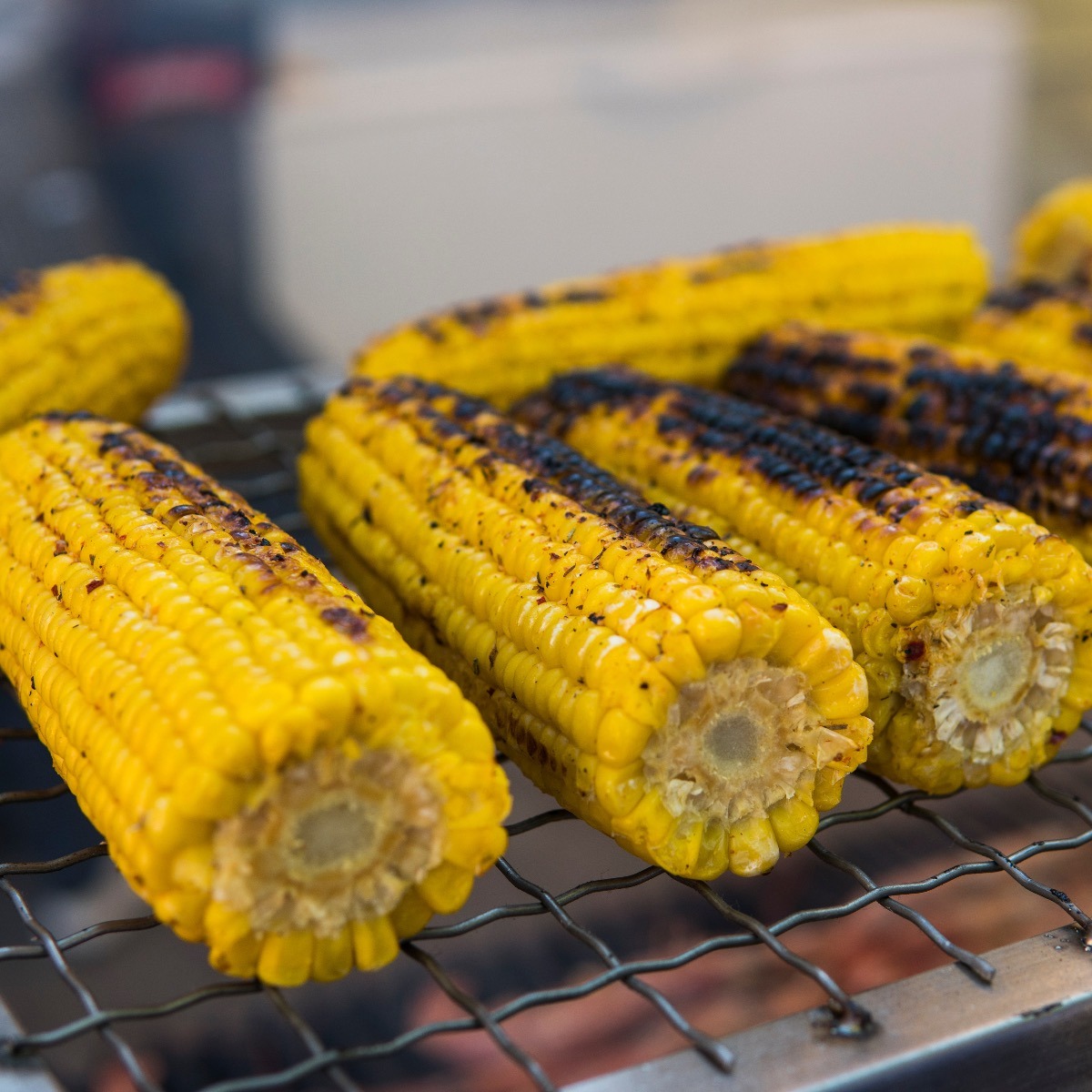 Grilled Corn on the Cob